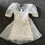 We Wore What Danielle Bernstein Puff Sleeve sheer dress Photo 4