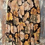 Forever 21  Sheer dress size Medium, floral pattern Photo 0