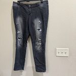 Maurice's XL Distressed Gray Wash Denim Jeans Womens XL Regular Size Photo 1