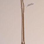 BaubleBar NWT  double strand necklace. Photo 2