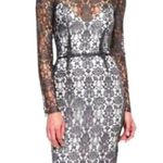 L'Agence  Womens Lace Sheath Dress By Revolve Size 0 Gray Lace Over White Coquett Photo 0