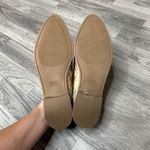 Frye NWOB  Nolan Seam Mule Taupe Snake 6.5 Photo 3