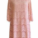 Jessica Howard Dress Blush Pink Lace 3/4 Sleeve Lined Sheath Party Size 8P Photo 10