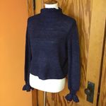BB Dakota  Steve Madden Sparkly Sweater Photo 11