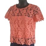 Liz Claiborne Women's Petite Large Coral Lace Short Sleeve Blouse Top NWOT Photo 6