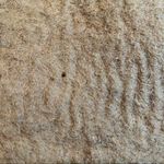 Rising International Wool Shoulder Bag Photo 11