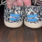 Toms  cow print womens shoes‎ Photo 1