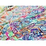 Lilly Pulitzer Women's XS Elsa Silk Smocked Top in What A Catfish Multi Photo 9