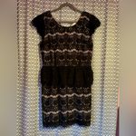 Anthropologie  / Maeve | Elsa peplum lace dress, size L Photo 2