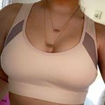 Champion Sports Bra Photo 0