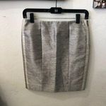 Balenciaga  Pencil Skirt Photo 0
