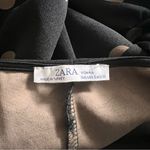 ZARA  Black and Tan Polka Dot Peplum Blouse Photo 4