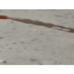 Elan  9279 Brown Eyeglasses Frames ONLY oval Full Rim 53-17-135 gold Photo 10