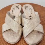 Michelle D Slip Photo 3