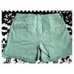 American Eagle Shorts Photo 2