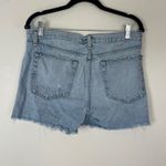 Rag and Bone  Boy Shorts Martini Denim Shorts Size 26‎ Distressed Ripped Frayed Hem Photo 6