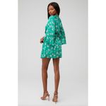 Sabina Musayev Adeline Chiffon Floral Mini Dress Green Floral Womens Size Small Pink Photo 2