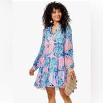 Lilly Pulitzer  Sarita Dress - size 0 Photo 1
