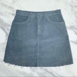Brandy Melville 💙 Juliette Corduroy Skirt Photo 1