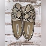 Steve Madden  | Shoes Photo 3