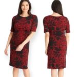Connected Apparel Women's Elbow Sleeve Printed Sheath Dress Size 4 Petite NWOT Photo 7