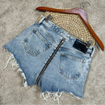 Alexander Wang NWT  Bite Zip High Rise Jean Shorts Cut Off in Pebble Bleach 25 Photo 5