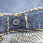 Madewell NEW  Maternity‎ Side-Panel Skinny Jeans in Wendover Wash, 29 Photo 10