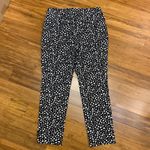 Chico's Pull On Pants Womens Size 8 Black Leopard Print Stretch Casual Career Photo 3