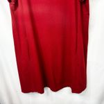 Eileen Fisher  Large Dress Silk Noil Red Short Sleeve Shift Pockets Granola 1804 Photo 3