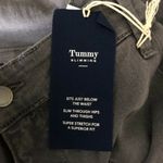 Charter Club  Womens Jeans Lexington Straight Tummy Slimming Stretch Gray 28W Photo 5