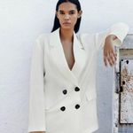 ZARA Double Breasted Blazer Photo 1