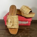 Sam & Libby Crysta Platform Wedge Women's Sandal Size 9 #250992 Photo 2