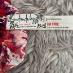 Free People Red and White Wide-Leg Pants Photo 7