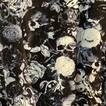 Zumiez Empyre Empyre Shirt 51 Photo 2