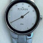 Skagen Steel Denmark Ladies Watch Crystal Markers Stainless Bracelet and Dial Photo 3