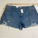 Cotton On  curve high rise 90s cutoff shorts- Plus Size 24 Photo 1