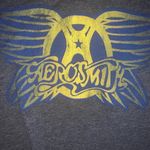 Mudd  Women's shirt Size Juniors medium Aerosmith rock band gray baby tee Photo 2