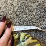 Euro Cheetah Floral Midi Skirt Green Photo 3