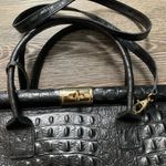 Vittoria Pacini Elegant Black Leather Crocodile Photo 1