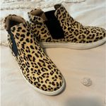 Coconuts by Matisse . Size7.5 M Photo 0