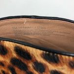 Halogen NEW Harowen Leopard Print Heels Photo 4