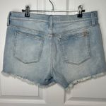 joe's jeans  The Ozzie 4" Cut Off Denim Shorts Frayed‎ Hem Light Wash Size 30 Photo 1