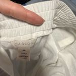 Caslon  White Ankle Pants Photo 1
