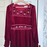 In Loom  velvet castlecore long sleeve maxi dress Photo 3