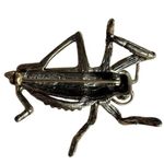 Heidi Daus "Madame Grasshopper" Crystal Green Enamel Brooch + Green Rope Cord Ne Photo 13