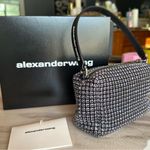 Alexander Wang Authentic | Black medium hairess Bag Photo 2