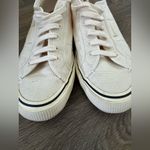 Superga RARE Organic Cotton Cream Canvas Lace-Up Sneakers Photo 2