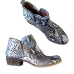 Lucky Brand  Grey Snake Print Leather Ankle Boots Womens 8.5 Booties Fall Western Photo 0