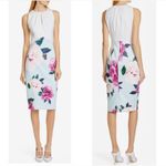 Ted Baker  Annile Magnificent Floral Butterfly Knee Length Sheath Dress Formal Photo 1