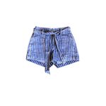 American Eagle  Blue, White and Orange Striped Shorts Photo 1